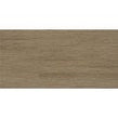 Alabama Beige 29.8cm x 59.8cm Wall & Floor Tile