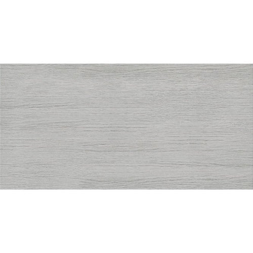 Alabama Light Grey 29.8cm x 59.8cm Wall & Floor Tile