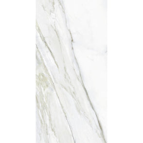 Alpina Marble 60cm x 120cm Wall and Floor Tile