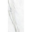 Alpina Marble 60cm x 120cm Wall and Floor Tile