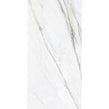Alpina Marble 60cm x 120cm Wall and Floor Tile