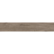 Alpina Wood Brown 19.8cm x 119.8cm Wall and Floor Tile