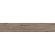 Alpina Wood Brown 19.8cm x 119.8cm Wall and Floor Tile