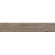 Alpina Wood Brown 19.8cm x 119.8cm Wall and Floor Tile