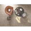 Alpina Wood Brown 19.8cm x 119.8cm Wall and Floor Tile