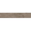 Alpina Wood Brown 19.8cm x 119.8cm Wall and Floor Tile