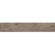 Alpina Wood Brown 19.8cm x 119.8cm Wall and Floor Tile