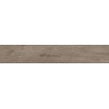 Alpina Wood Brown 19.8cm x 119.8cm Wall and Floor Tile