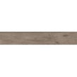 Alpina Wood Brown 19.8cm x 119.8cm Wall and Floor Tile