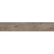 Alpina Wood Brown 19.8cm x 119.8cm Wall and Floor Tile