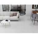 Alpine Glacier 60cm x 120cm Wall & Floor Tile