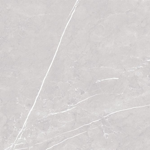 Antigua Silver 80cm x 80cm Floor Tile