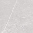 Antigua Silver 80cm x 80cm Floor Tile
