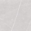Antigua Silver 80cm x 80cm Floor Tile