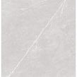 Antigua Silver 80cm x 80cm Floor Tile
