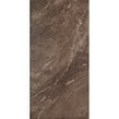 Arigato Brown 29.7cm x 59.8cm Wall & Floor Tile
