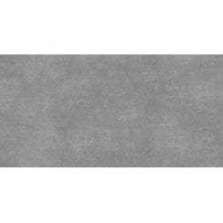 Ark Silver 60cm x 120cm x 2cm Outdoor Floor Tile