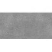 Ark Silver 60cm x 120cm x 2cm Outdoor Floor Tile