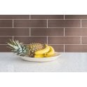 Arkitek Chocolate 10cm x 40cm Wall Tile