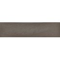 Arnold Taupe Decor Gloss 10cm x 40cm Wall Tile