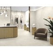 Baldocer Asphalt Off White 60cm x 60cm Wall Tile & Floor Tile