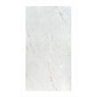 Avalanche Crystal Polished 60cm x 120cm Wall & Floor Tile