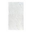 Avalanche Crystal Polished 60cm x 120cm Wall & Floor Tile
