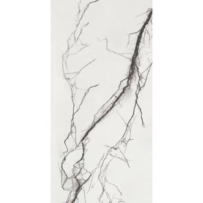 B&W Marble Matt 60cm x 120cm Wall and Floor Tile