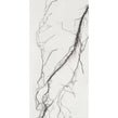 B&W Marble Polished 60cm x 120cm Wall and Floor Tile