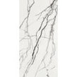B&W Marble Polished 60cm x 120cm Wall and Floor Tile