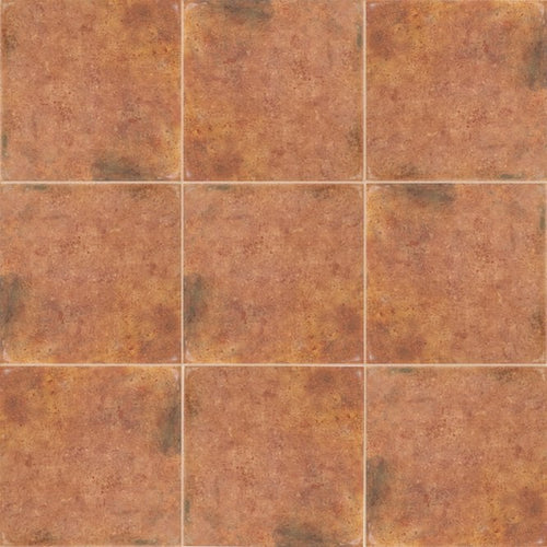 Barro Cotto 20cm x 20cm Wall and Floor Tile