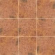Barro Cotto 20cm x 20cm Wall and Floor Tile