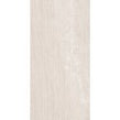 Basalte Blanco Carven Texture 60cm x 120cm Wall & Floor Tile