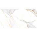 Bianco Oro 60cm x 120cm Wall & Floor Tiles