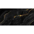 Black Onyx Gold Polished 60cm x 120cm Wall and Floor Tile