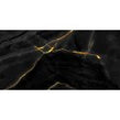 Black Onyx Gold Polished 60cm x 120cm Wall and Floor Tile