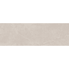 Bleuemix Taupe 40cm x 120cm Wall Tile
