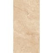 British Beige Expo 60cm x 120cm Wall & Floor Tile