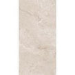 British Caramel Expo 60cm x 120cm Wall & Floor Tile