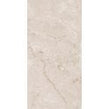British Caramel Expo 60cm x 120cm Wall & Floor Tile