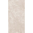 British Caramel Expo 60cm x 120cm Wall & Floor Tile