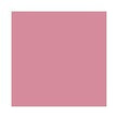 Cabaret Taco Pink 4cm x 4cm Wall & Floor Tile