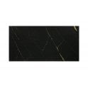 Cadia Black & Gold 25cm x 50cm Wall Tile