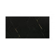 Cadia Black & Gold 25cm x 50cm Wall Tile