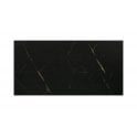 Cadia Black & Gold 25cm x 50cm Wall Tile