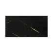 Cadia Black & Gold 25cm x 50cm Wall Tile