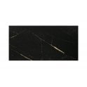 Cadia Black & Gold 25cm x 50cm Wall Tile
