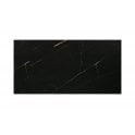 Cadia Black & Gold 25cm x 50cm Wall Tile