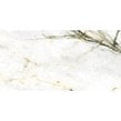 Calacatta Green Polished Wall & Floor Tile 60cm x 120cm
