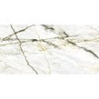 Calacatta Green Polished Wall & Floor Tile 60cm x 120cm
